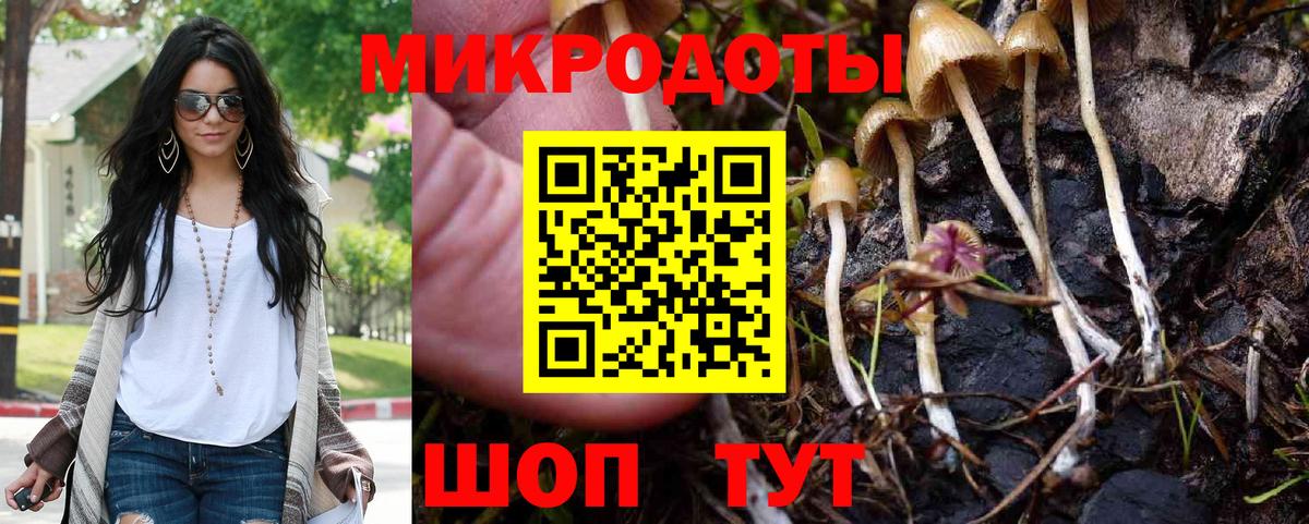 Галлюциногенные грибы Psilocybe  Вход с VPN  Заволжье  Псилоцибиновые грибы ЛСД 