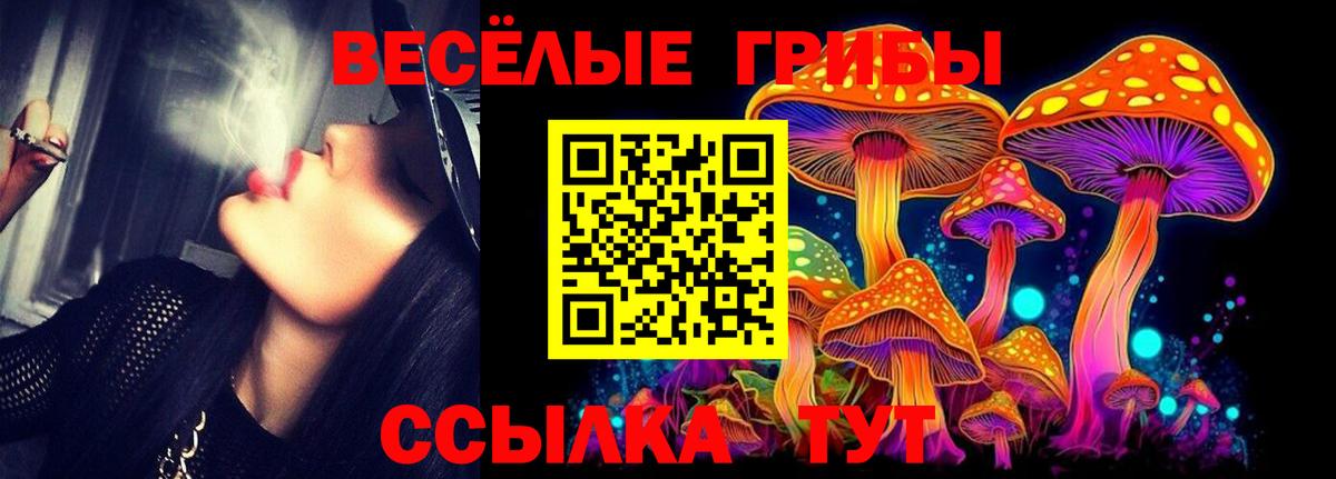 Галлюциногенные грибы Psilocybe Заволжье